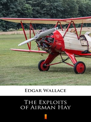 cover image of The Exploits of Airman Hay